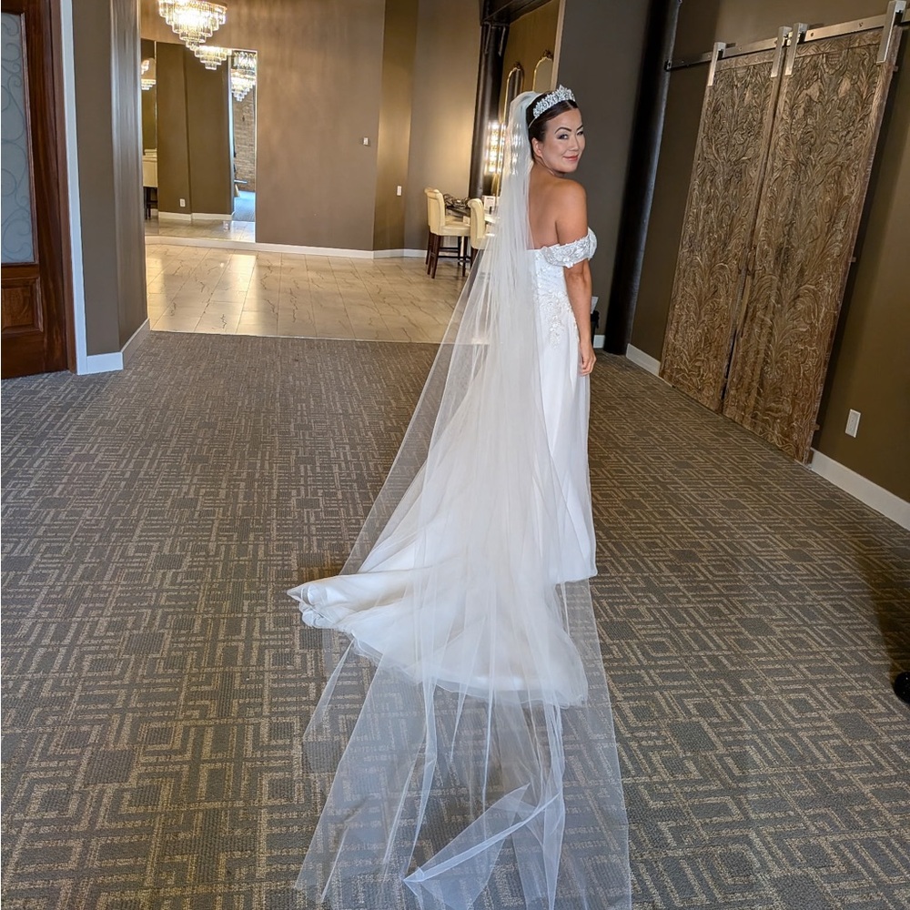 Elegant White cathedral Veil